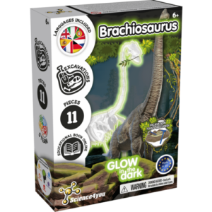 Brachiosaure fossiles phosphorescents SCIENCE4YOU