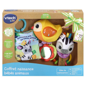 Coffret Naissance Bébés Vtech
