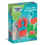 Mini Labo d’anatomie